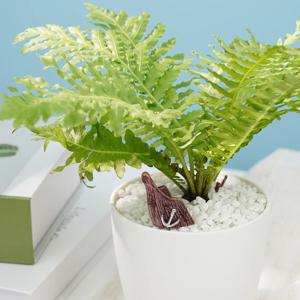 가라앉는보트 미니어처 피규어 미니어쳐 테라리움 장식