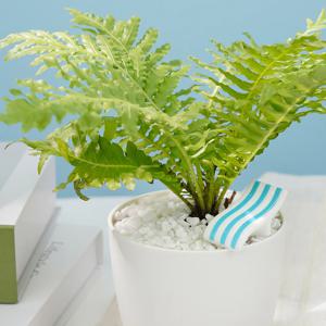 비치체어 미니어처 피규어 미니어쳐 테라리움 장식