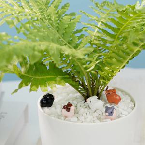 미니피그 미니어처 피규어 미니어쳐 테라리움 장식