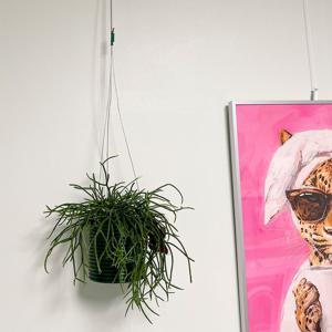 립살리스 관리가 쉬운 행잉플랜트 - 3d 프린팅 화분