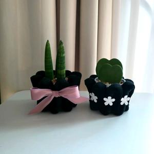 스투키 / 하트호야 + 플라피 화분커버 세트