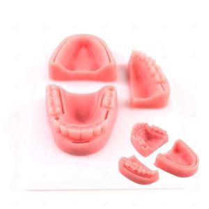 치과 치대생 구강 치아 모형 잇몸 봉합 수술 실습 실리콘 3in1