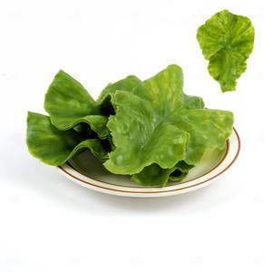 음식 촬영 소품 음식점 진열 전시 소품 진짜같은 인조 양상추 모형