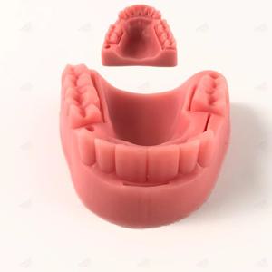 간호 자격증 치과 수술 연습 실리콘 치아 모형 사랑니 봉합 실습