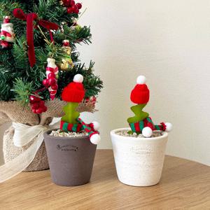 피쉬본 생선뼈선인장 귀여운 다육식물 미니 로자리안토분 크리스마스 장식