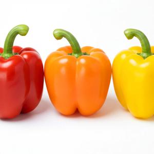 파프리카 빨강 노랑 1kg 2kg