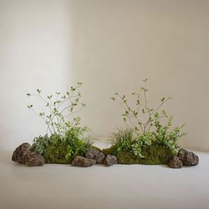 리얼수목가지 이끼마운팅 완제품 PM23 조화 플랜트박스