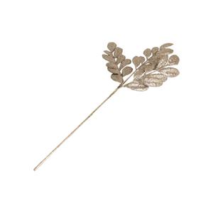 골든 베이리브스 가지조화