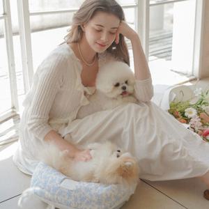 포그니 아토백 강아지이동가방 기내용 슬링백 포대기 시즌2