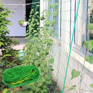 호박 오이 토마토 줄기 그물 넝쿨망 가든네트 식물 농사 원예용 그물