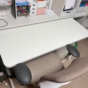 양면 방수 인조가죽 패드 일룸 로이모노 책상 보호매트