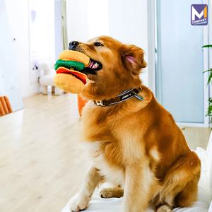 햄버거 강아지 장난감 바스락 훈련 놀이 인형 애견 삑삑이 슬리퍼 강아지 노즈워크