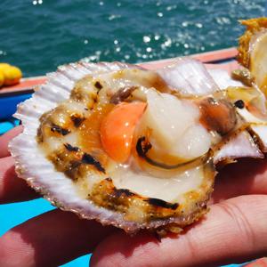 국내산 제철 가리비 1kg 세척 캠핑음식 조개구이 [원산지:국산]