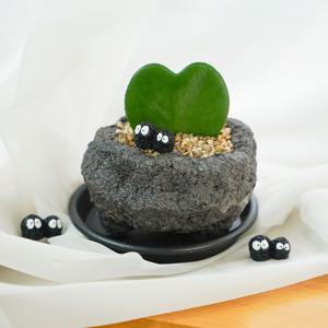 1+1 화산석 공기정화식물 세트 키우기 쉬운 식물 오브제 받침 피규어 증정