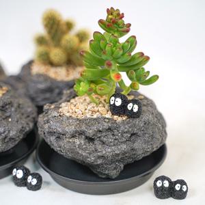 1+1 화산석 다육식물 세트 다육이 선인장 받침 피규어 증정