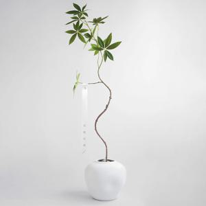 파키라 조화 화분 거실화분 플랜테리어 (문구 리본 포함)