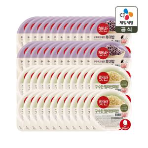 햇반 흑미밥 210g x24개+발아현미밥 210g x24개