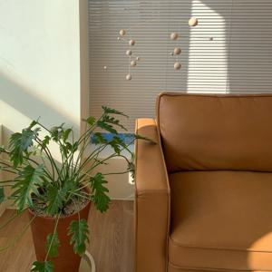 브론테, 인테리어 모빌