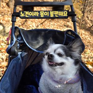 주문제작 개모차 산책 펫티켓 메시지 유모차 자전거 애견 캐리어 가방 강아지 가죽 자수명찰