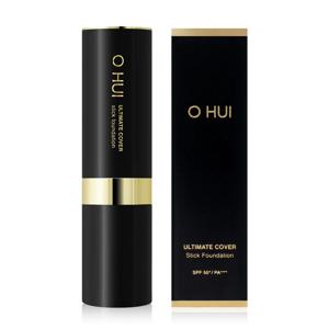 파운데이션 얼티밋 커버 스틱 파운데이션 브러쉬 2호 허니베이지