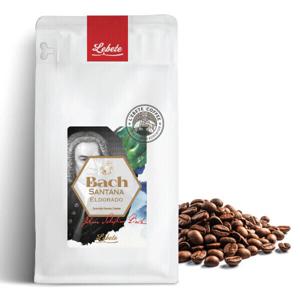 바흐 산타나 엘도라도 / 스페셜티커피 /원두 / 500g