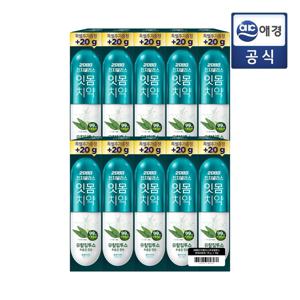 2080진지발리스 유칼립투스향 (20g 증량팩) 150+20g 10입 스트롱민트 후레쉬민트