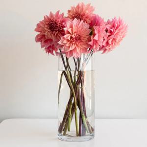 심플 원통 유리화병 지름 12cm 7size