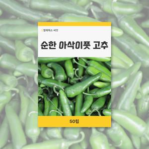 순한아삭이풋고추 씨앗 50립 열매채소 씨앗 새싹 키우기