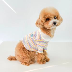 반려동물 레인보우 배색 카라 티셔츠 S-2XL, 2 colors