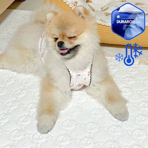 강아지 고양이 듀라론 쿨매트