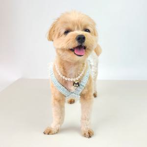 강아지 고양이 블링 진주 목걸이, 2 kinds