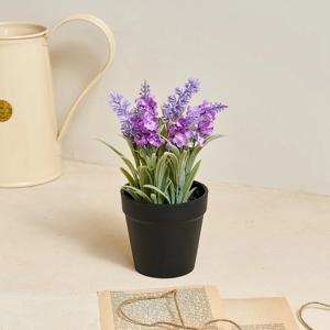 라벤더 식재화분 20cm