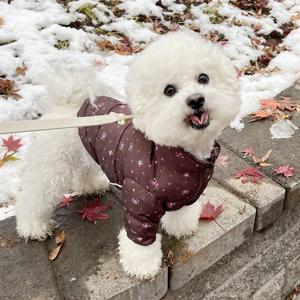 강아지 패딩자켓 꽃가득 티타늄 발열안감 따뜻한 겨울옷 방한복 S