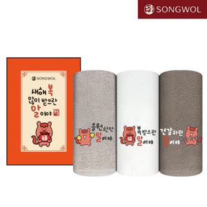 송월타올 2026 설 자수 붉은 말이야 호텔수건 1매 신년 선물세트