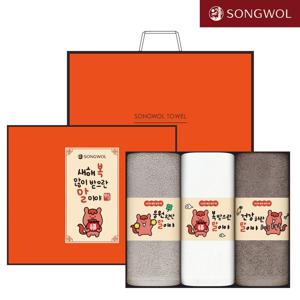 송월타올 2026 신년 붉은 말이야 띠지 호텔수건 3매 설 선물세트