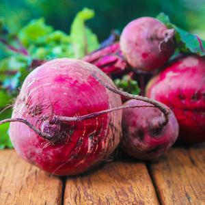 국내산 비트 5kg