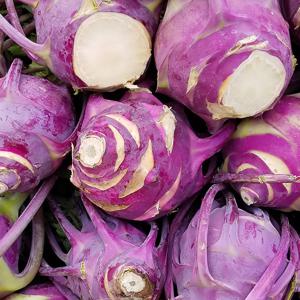 국내산 콜라비 5kg