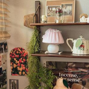 베이직 컬러 3종 레이스램프 조명 단스탠드 무드등 원룸조명