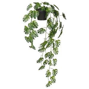 페이카 조화화분 인조식물 걸이형/몬스테라 (화분지름:9cm)