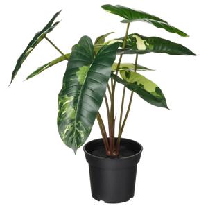 페이카 조화화분 인조식물 필로덴드론/그린/화이트 (화분지름:15cm)