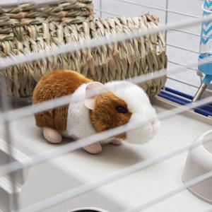 영국에서 온 동물친구 햄스터인형 귀여운 동물인형