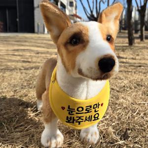 강아지 고양이 스카프 비건레더 가죽 명찰 넥케이프 턱받이 대형견 이름 도그빕 목도리 네임택
