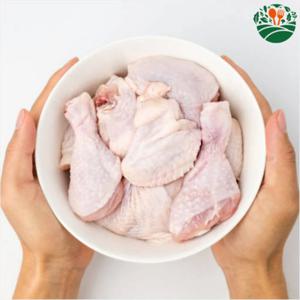 모아푸드 국내산 냉동 닭 절단육 800g 볶음탕 닭도리탕 도리육 도축장 하림