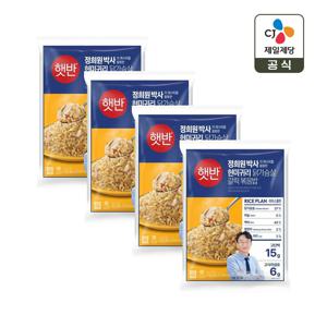 햇반 현미귀리 닭가슴살 갈릭볶음밥 420g x4개