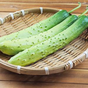 국내산 다다기 백오이 10kg 상