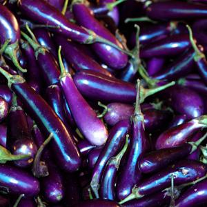 국내산 가지 특품 5kg