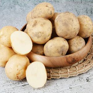 국내산 하우스 햇감자 왕특 10kg