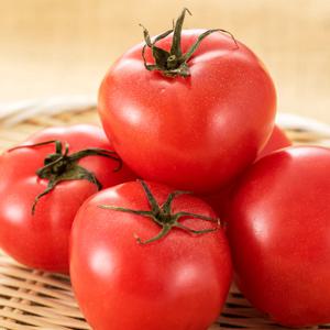 국내산 완숙 찰 토마토 5kg (대과/개당 200-300g내외)