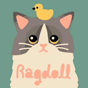 DIY 명화그리기 랙돌 고양이 20X20cm