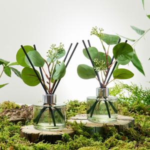 포레스트 디퓨저 200ml X 2개